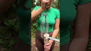 NEW invention from the FOREST GIRL #camping #survival #bushcraft #outdoors #maru