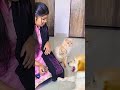 मेरे बिल्ली को गुस्सा आ गया😭 funnydogs shorts