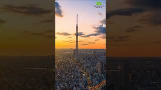 Sound Waves for City Dwellers | Brain Wave Music | Mind Awakening Music | Back to Nature