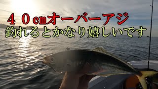 【逗子葉山沖スモールボートフィッシング】ギガアジ＝４０ｃｍオーバーアジ釣れるとテンション爆上がりします