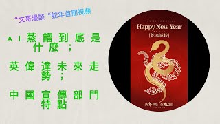 AI蒸餾具體是什麼｜DeepSeek是否真牛逼｜英偉達股票未來走勢｜中國宣傳部門特點