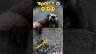 ওরে ভাবি কই গেলি রে😍#viralbhavi #kuddus #viral #shorts #bhavi