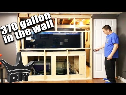MY IN-WALL AQUARIUM!!! MY IN-WALL AQUARIUM!!!