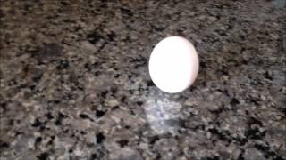 Vernal Equinox-Stand an Egg on end!!!