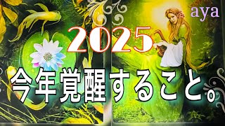 【2025】今年、あなたが覚醒すること。🧚💕カードリーディング 💫💫