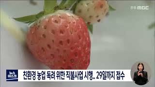 친환경 농업 독려 위한 직불사업 시행..29일까지 접수 | 전주MBC 220419 방송