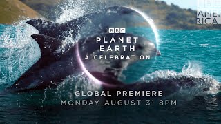 Planet Earth Celebration on August 31 at 8 PM | BBC America