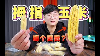 拇指玉米这么小，很可爱没错但这划算吗？