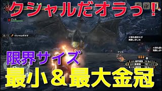 【MHRise】クシャルダオラ最小最大金冠限界サイズ(1817.47-2391.41)