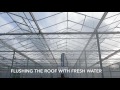 cleaning the interior of a greenhouse with the aquajet roof washer