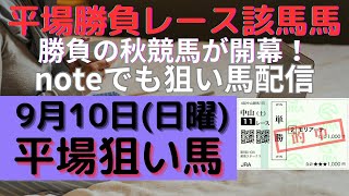 ９月１０日（日曜）平場勝負レース該当馬５レース！調教内容から狙える新馬戦（中山５レースが該当）