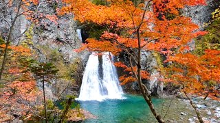 🌠 　白老の滝　紅葉リバートレッキングツアー　アンビシャス 絶景100の旅 ナレーション