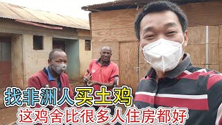 去非洲当地人家里买土鸡，老板家庭富裕，鸡舍比很多人的住房都好【带你一起看非洲】