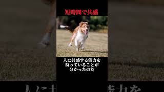 近年発見された！衝撃的な犬の秘密3選【ゆっくり解説】