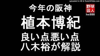 阪神 上本博紀を八木裕が採点 2017年11月12日