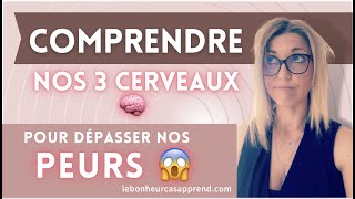 COMPRENDRE NOS 3 CERVEAUX 🧠 POUR DEPASSER NOS PEURS 😱