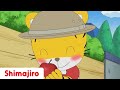 How to be Nice | Friendship | 24 Minute Compilation | Kids video for Kids | Shimajiro