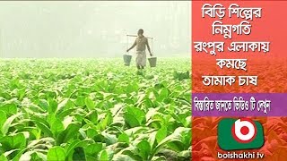 Biri Industry | বিড়ি শিল্প |  Part 3 | বিড়ি শিল্পের নিম্নগতি, রংপুরে তামাক চাষ | Laboni  | 11Feb18