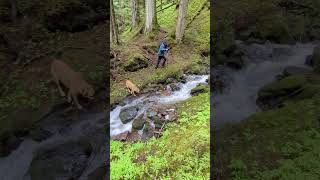 Waterfalls at Viking Ridge #northernbc #waterfall #hiking