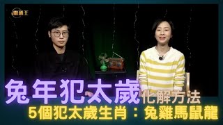 兔年犯太歲生肖2023｜化解方法＋開運方法！5個犯太歲生肖：兔雞馬鼠龍！ #犯太歲 #攝太歲 #祈福法事 #南師傅 #靈通王 20221130