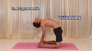 Yoga - உசட்ராசனம், சுவாச கோளாறுகள் நீங்க, Usatrasanam #vision_i