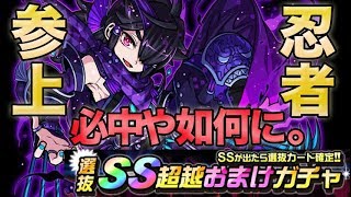 【ドラポ】新SS村雨参上！評価+新SS狙いでガチャ！【雑魚デッキを最強へ】#25