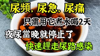 尿頻、尿急、尿痛！只需用它煮水喝兩次，夜尿當晚就止了，快速趕走尿路感染【可嘉媽媽】