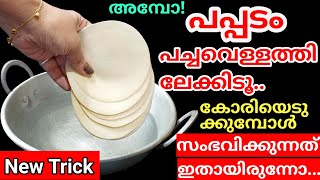 പപ്പടം ഇങ്ങനെ ചെയ്തപ്പോൾ ഞെട്ടിപ്പോയി, ഇതറിയാതെ എത്ര ടൈം കളഞ്ഞു |New Papadam Recipe