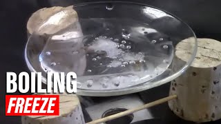 Water Can Boil and Freeze Simultaneously