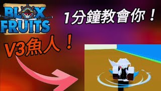 roblox blox fruit!  2分鐘教你v3魚人種族！最強種族技能！開了減傷85趴！？？