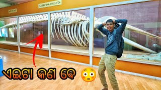 ଏଇଟା କଣ ବେ 😳 | ଆସ ଦେଖି ଯିବା ଭୁବନେଶ୍ୱର ରେ ଥିବା museum (OCAC Tower ) #mesum