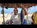 Skipjack Tuna Fish Cutting | Kerala Style Fish Cutting | Fast and Sharp