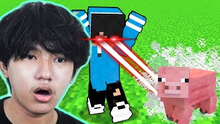 មកលេងMinecraft តែខ្ញុំអាចសម្លាប់Mobដោយគ្រាន់តែមើល