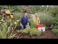 Calendrier du jardinier juin: que faire au jardin ou sur la terrasse ? - Truffaut