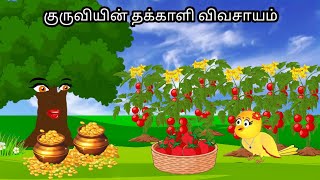 TOMATO  STORY/ MORAL STORY IN TAMIL / VILLAGE BIRDS CARTOON