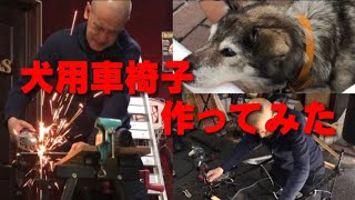 【老犬】車椅子をプレゼント