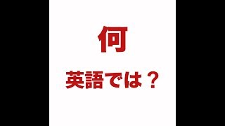 【何　英語では？ 】「動画で観る！聴く！英語辞書動画」