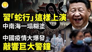 🐍💥習近平「蛇行」就這樣上演了！中南海一塌糊塗🦠🚨中國疫情大爆發 敲響一聲巨大警鐘【阿波羅網CL】