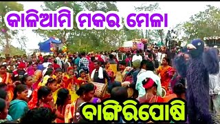 MAKARA MELA | KALIAMI | BANGIRIPOSI |MAYURBHANJ | MAYURBHANJ MIRROR