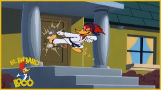 El Pájaro Loco Episodio Completo | Maestro de kung fu | Dibujos Animados | Caricaturas