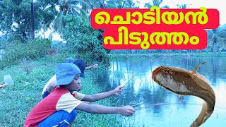 ചൊടിയൻ വീഴ്ത്തൽ  രാത്രി ചൂണ്ട ...NIGHT HOOK FISHING IN NATURAL LAKE..