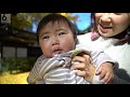 【美景】樹齢約500年　人々を包む大銀杏　大阪・守口市の難宗寺【cameraman’s eye】