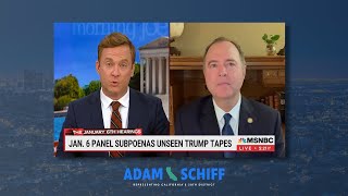 Rep. Schiff on MSNBC: Trump’s Big Lie is a Cancer on the Body Politic