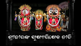 Pusyabhisheka Rituals of Mahaprabhu Jagannath । ମହାପ୍ରଭୁଙ୍କ ପୁଷ୍ୟାଭିଷେକ ନୀତି।