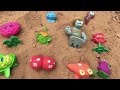 toy treasure hunt plants vs zombie toys found in the bunker