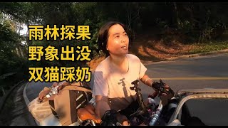 骑行热带雨林，原来这么多热带水果树长这样！为躲野象借宿山庄，到可爱的哈尼族婆婆家做客。#骑行  #热带水果 #户外 #露营