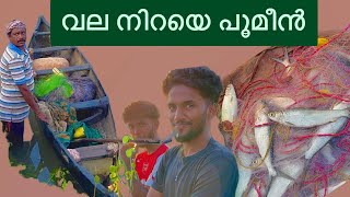 വലിയൊരു പൂമീൻ വേട്ട😱 #milkfish #fisherman #fishing