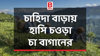 চাহিদা বাড়ায় হাসি চওড়া চা বাগানের | Tea gardens ready to open|demand strikes high