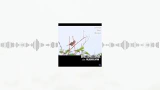 Music | Bird Song Lounge Feat. Wild Bird Japan - Japanese Bush Warbler | Original Official Audio