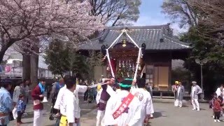 平成28年 神奈川県伊勢原市下谷 八幡神社例大祭・神輿渡御